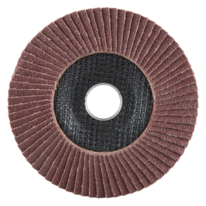 Lameļu slīpdisks Economy...