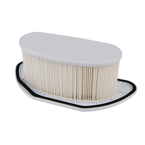 Filtra kasetne (1gab), VC3211H