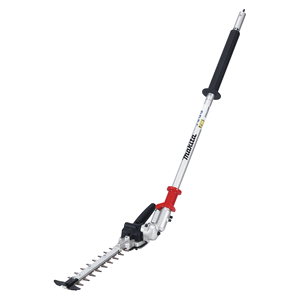 ZĀLIENA PĻAUJMAŠĪNAS...