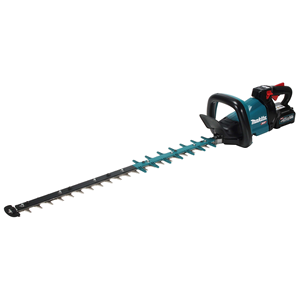 Akumulatora dzīvžogu...