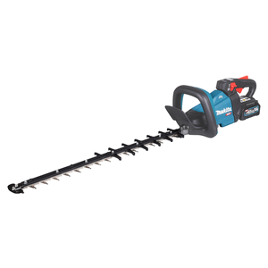 Akumulatora dzīvžogu...