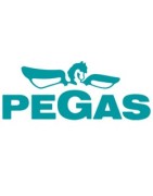 PEGAS GONDA